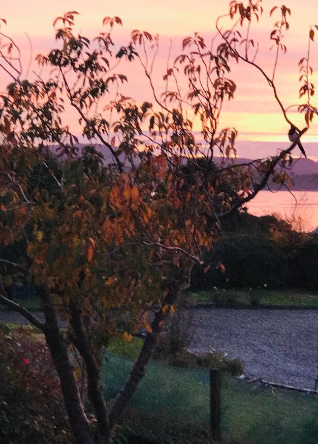 Niblick Bed & Breakfast Bantry Bagian luar foto