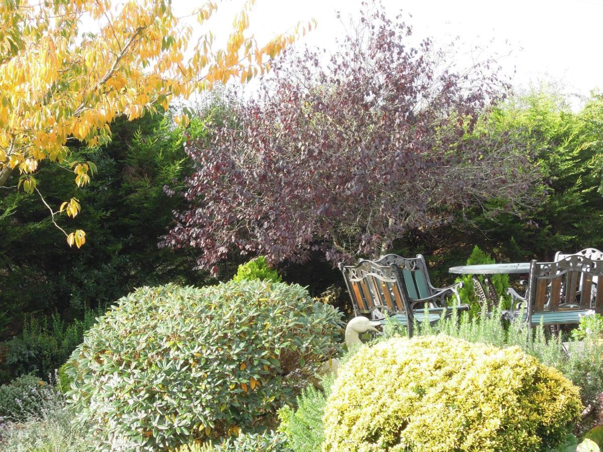 Niblick Bed & Breakfast Bantry Bagian luar foto