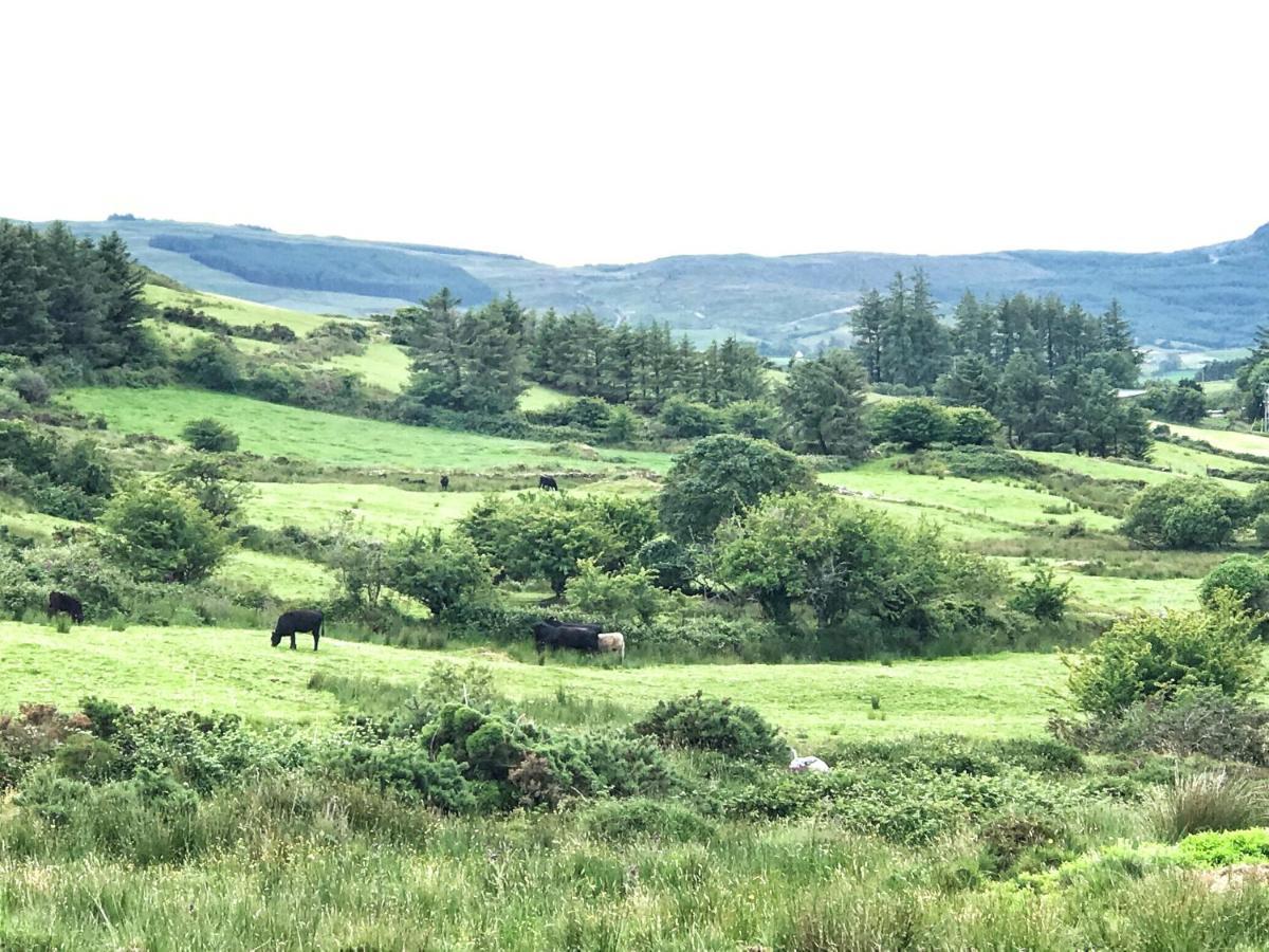 Niblick Bed & Breakfast Bantry Bagian luar foto