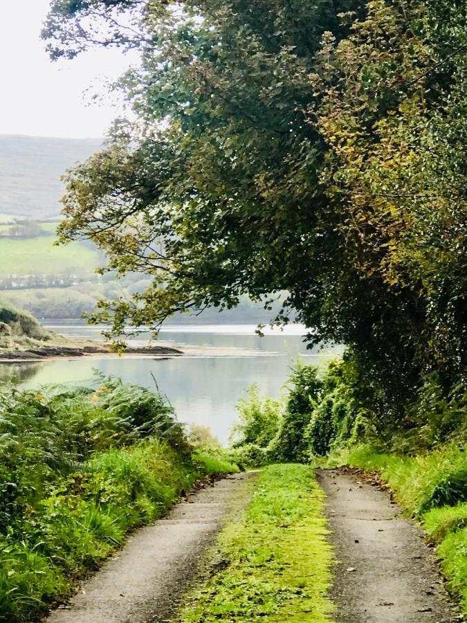 Niblick Bed & Breakfast Bantry Bagian luar foto