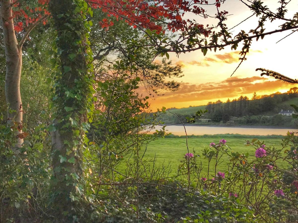 Niblick Bed & Breakfast Bantry Bagian luar foto